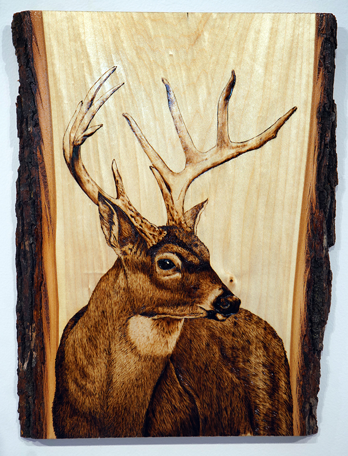 Wilderness, an image of a deer with antlers wood burnt on to a piece of wood with bark on the sides.