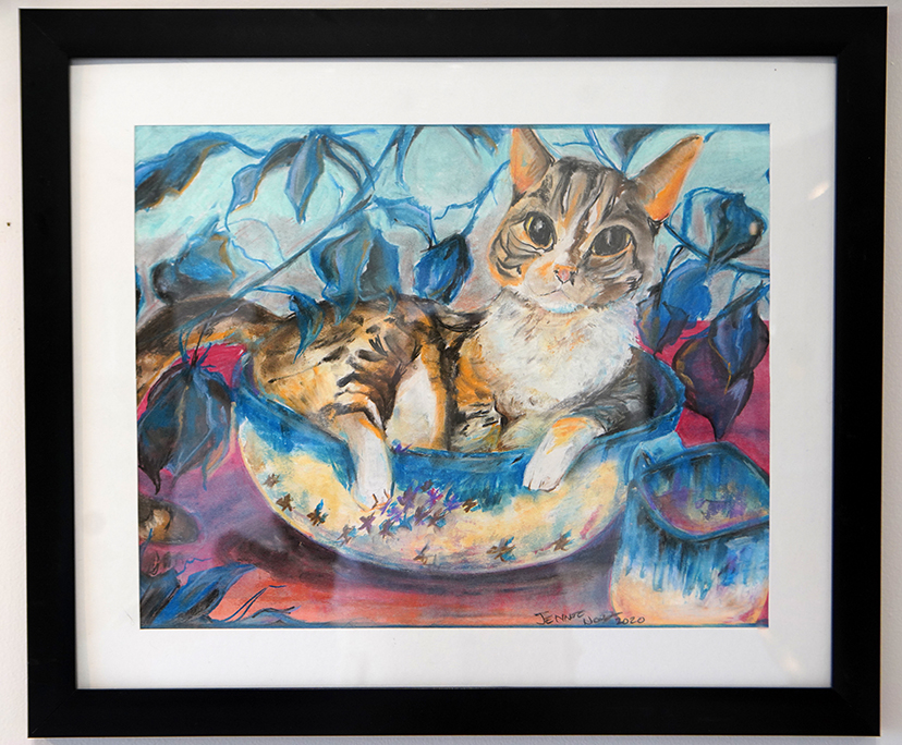 Nora, image of a cat sitting in a bowl.