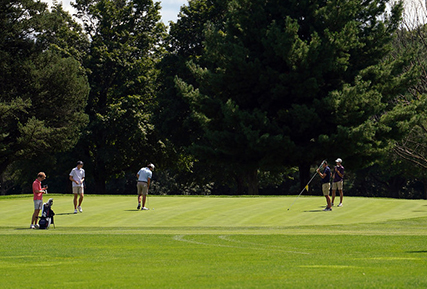 People on a golf course putting on a green.