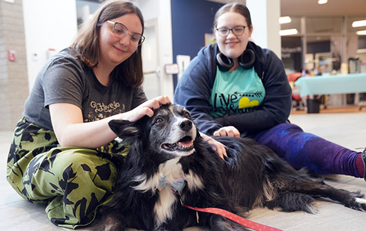 Students petting therapy dog