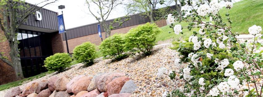 photo of flower bed in front of building D, the bed has rocks and bushes with white blooms.